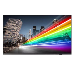Philips 50BFL2214 - 50" Categoria diagonale B-Line Professional Series TV LCD retroilluminato a LED - segnaletica digitale - Smart TV - Android TV - 4K UHD (2160p) 3840 x 2160 - nero